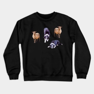 Border Collies and Sheep Sticker Pack Crewneck Sweatshirt